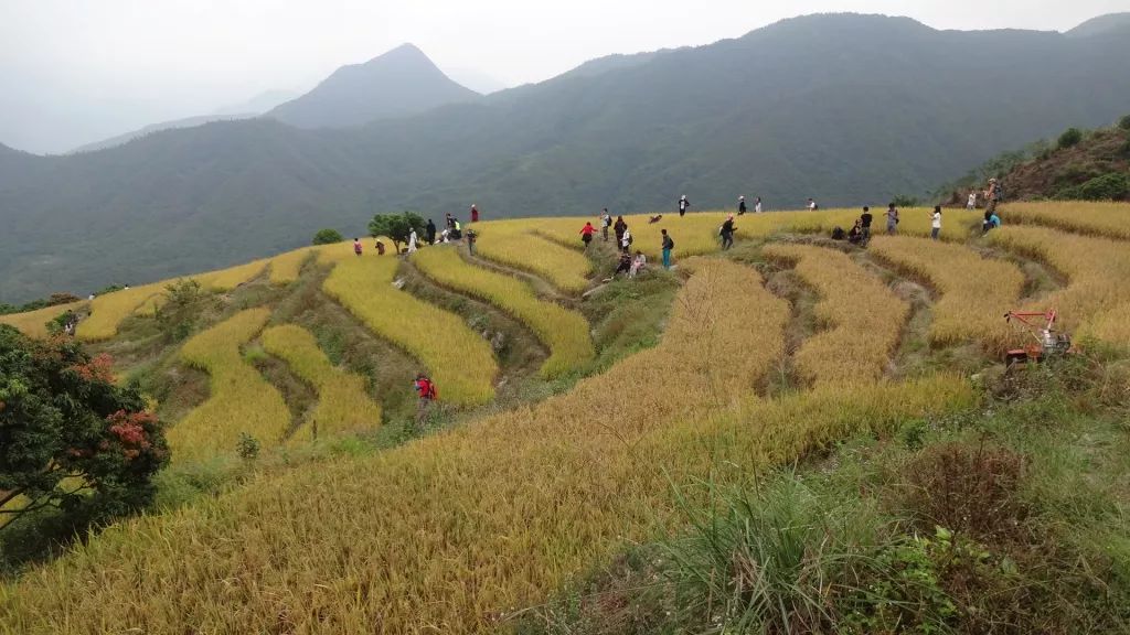 【标准级】本周天九龙峰—角峰村全程穿越,看高山梯田!