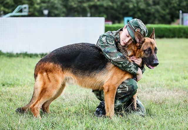 《奇犬》张馨予为目标含泪剪短发 穿军装尽显女兵风范