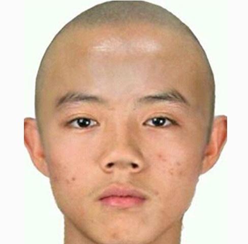 铁血巨人鹿晗王,20位光头你喜欢哪一个?