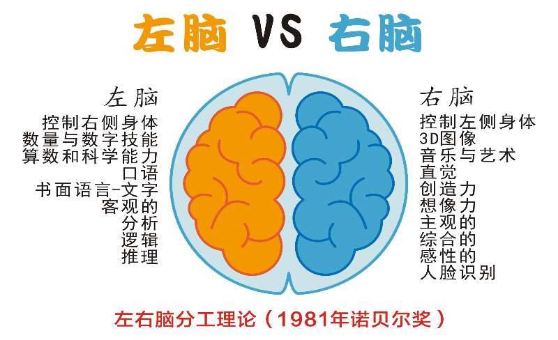 右脑的信息存储量是左脑的100万倍.