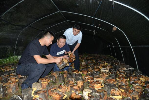 长岭乡永佛村位于金寨县东南边,是全县最为偏远的山村,距县城120公里