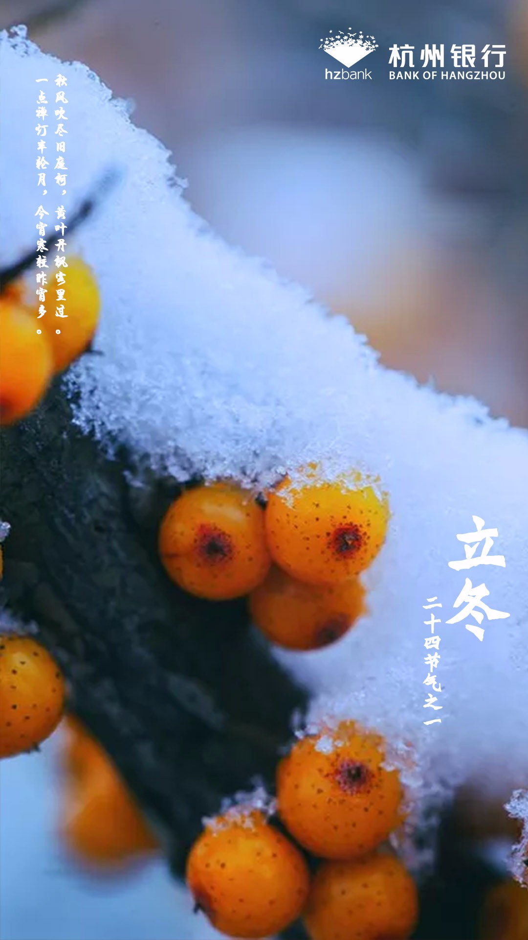 立冬初雪煮茶香冷冬万物藏