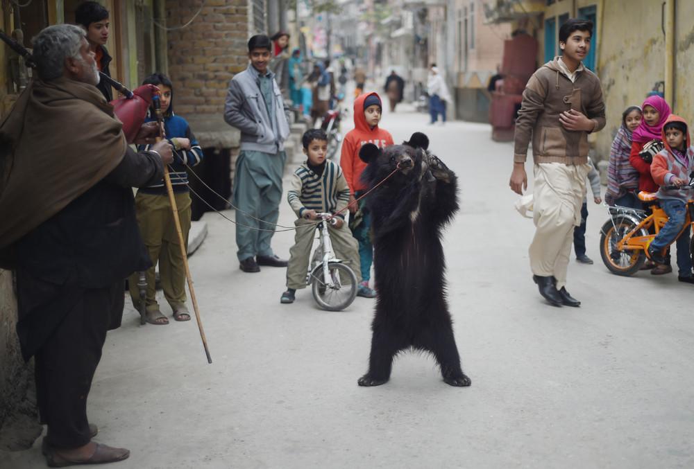 巴基斯坦之旅：暖心与揪心并存，为中国人提供4名AK保全