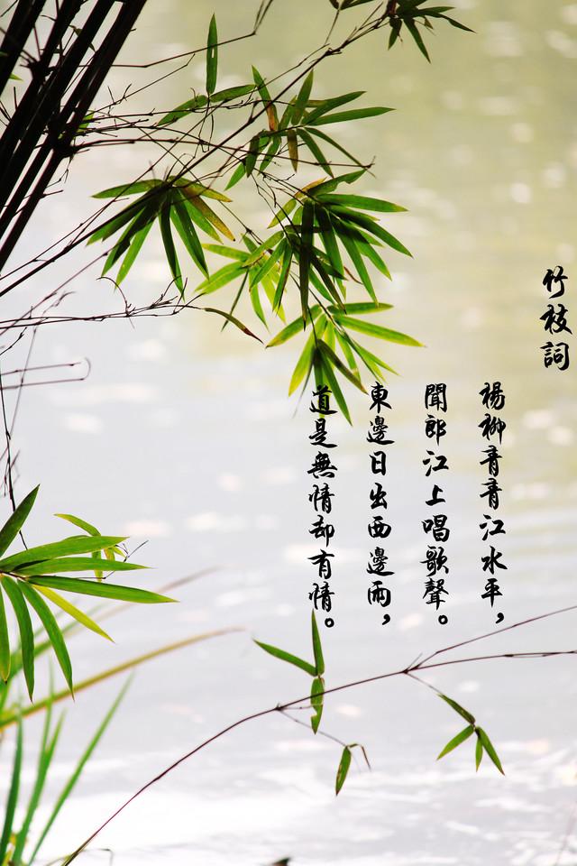 东边日出西边雨,道是无晴却有晴.杨柳青青江水平,闻郎江上踏歌声.