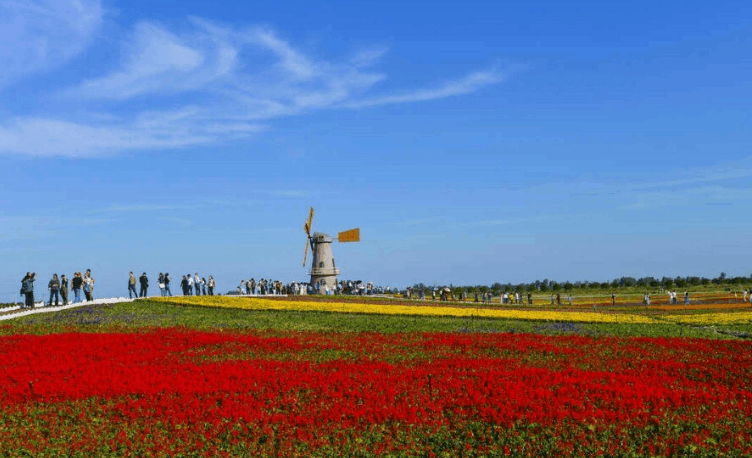 牛角大圩花海