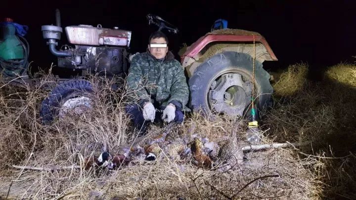 痛心吉林四男子内蒙古持枪狩猎野鸡体内现大量散弹钢珠