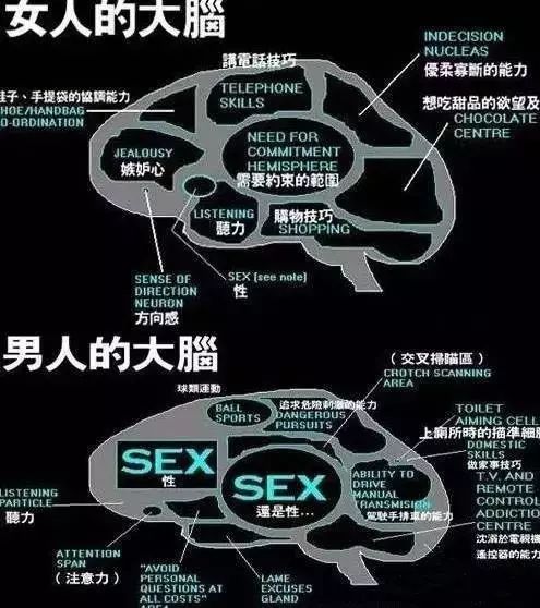 由于性激素的差异,导致男女大脑中疼痛的机理存在差别.