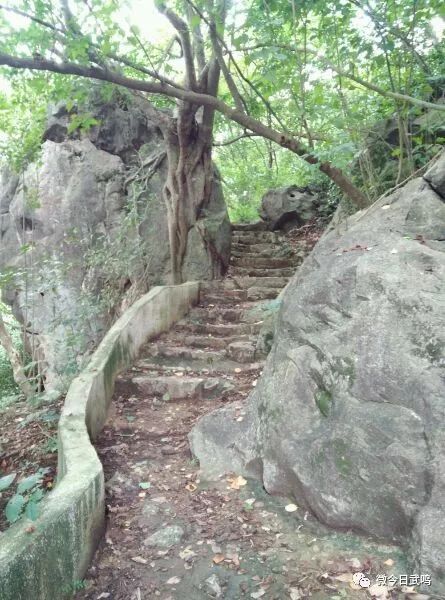 你问武鸣哪好玩我来告诉你旧八景和新八景今何在微今日武鸣