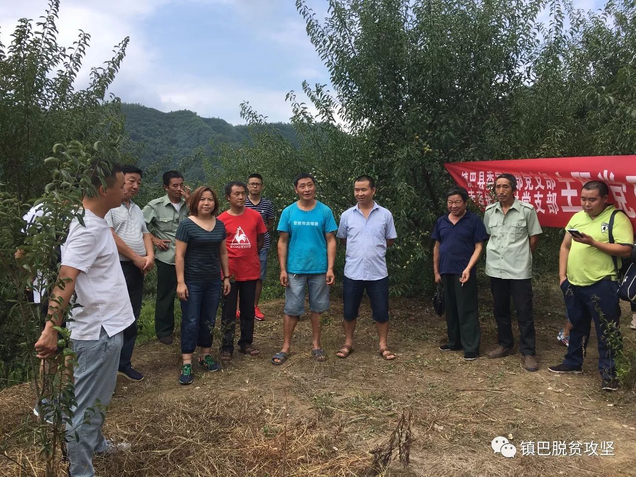 镇巴县赤南镇梅坡村:让"甩手掌柜"动起来