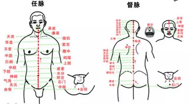 肾脏不好,甚至痔疮问题,都非常有用;而灸任脉对于肠胃问题,女性的子宫