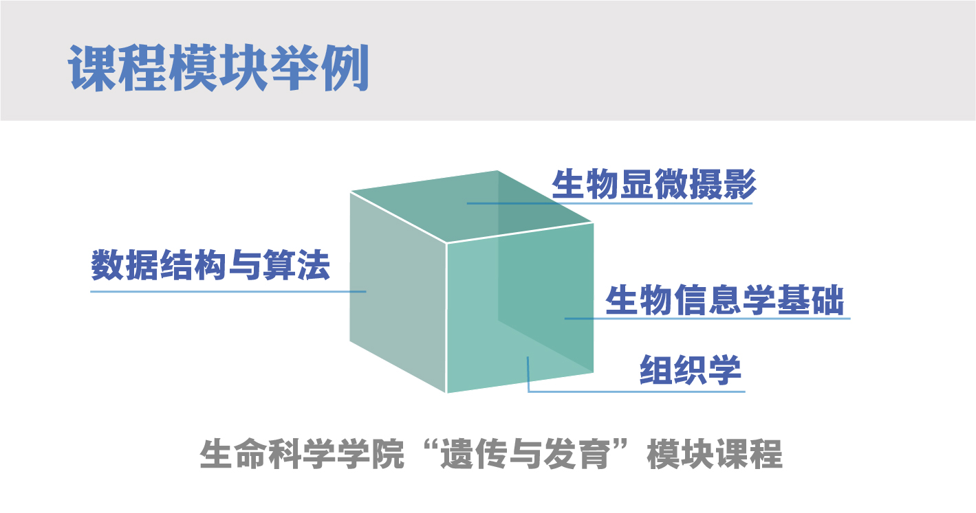 在北大,每个人都"跨学科"引领未来!