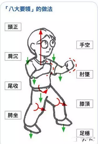 站浑圆桩的五大好处上动作要点及注意事项详解