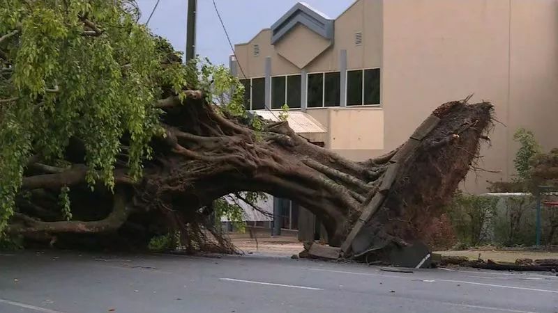 降温大风冰雹恶劣天气席卷昆士兰大树被连根拔起未来五天将持续下雨