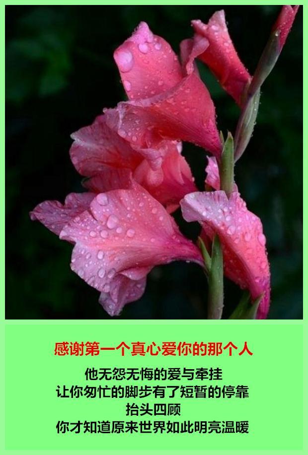 他无怨无悔的爱与牵挂,让你匆忙的脚步有了短暂的停靠