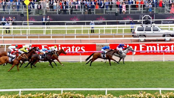 melbourne cup day! 引爆全民疯狂!