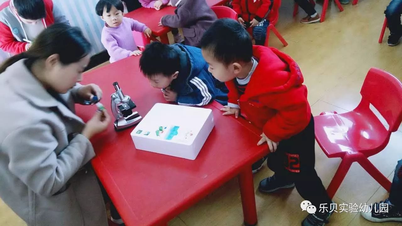 【乐贝-特色课程】幼儿园里的科学课到底是干什么的?