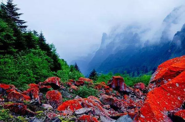 川内景区纷纷自降身价还有5a景区跟风竟是为了