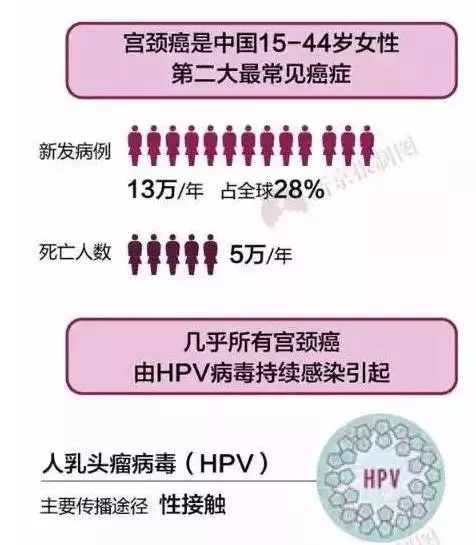 宫颈癌人口_宫颈癌早期症状图片(3)