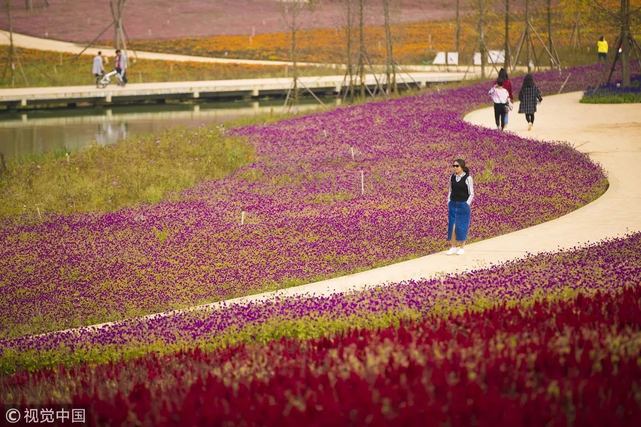 毕节金海湖湿地公园