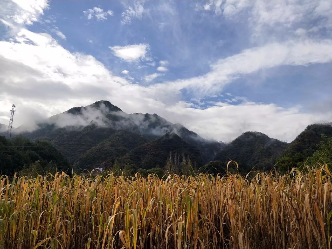 他领着重庆妹子回归大山做木匠,一刨一凿浅诉一山情结!