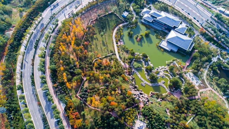 航拍下的鹦鹉寺公园 | 临潼原来可以这么美