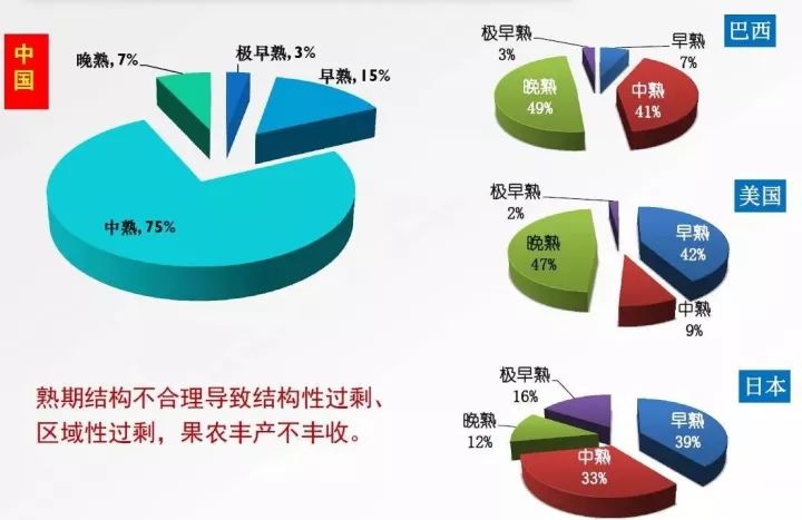 柑橘市场接近饱和,新品种引领产业发展趋势