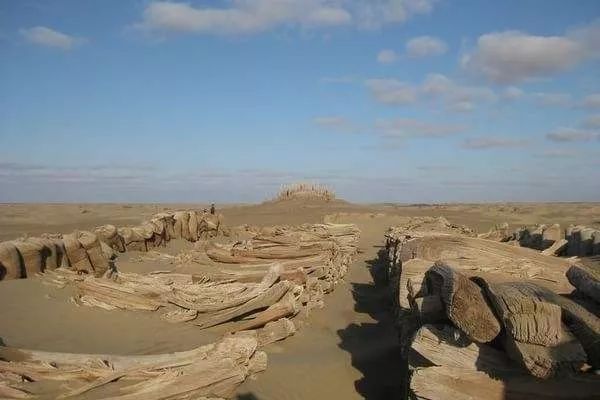 "小河"墓葬群我们现在知道,这个墓葬群位于罗布泊地区孔雀河下游河谷