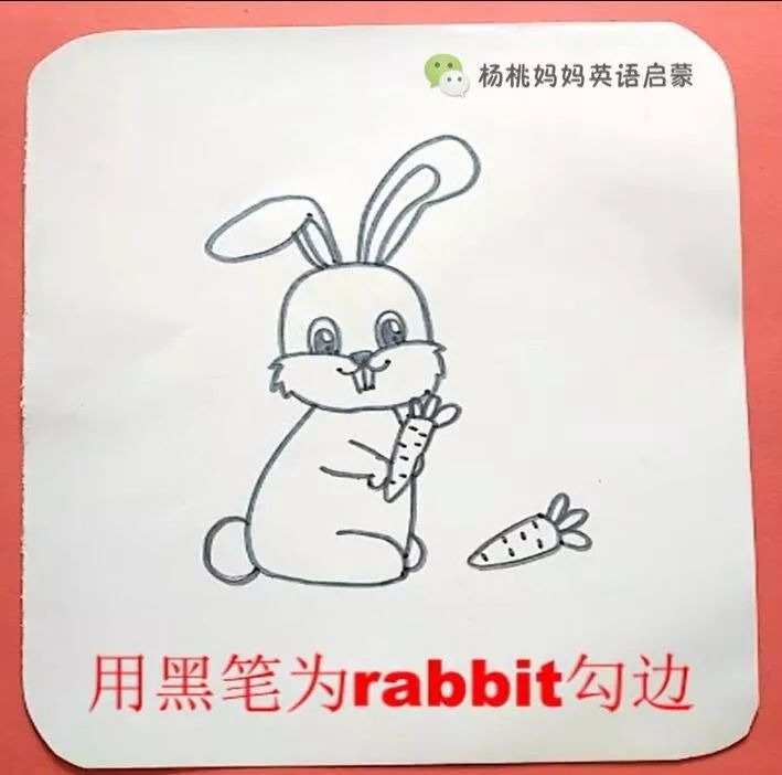 英语萌萌画rabbit兔子