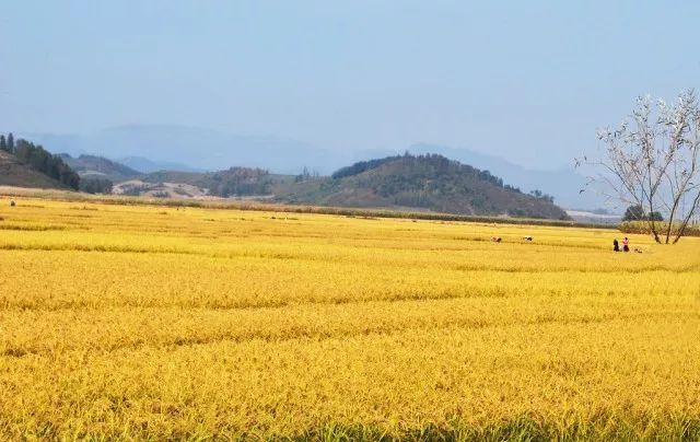 四海无闲田,农夫犹饿死.