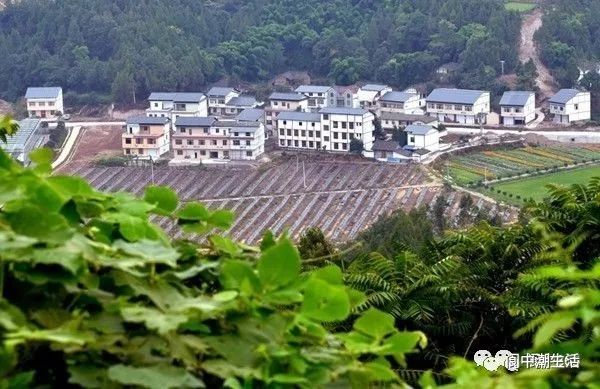 五龙村人口_古田镇五龙村图片