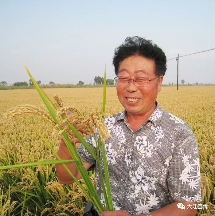 许雷:与水稻的不解情缘