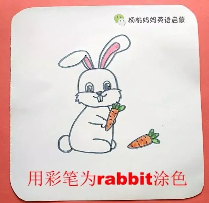 画一幅画,学一个单词 让学习单词不再枯燥 rabbit 兔子 不方便看视频