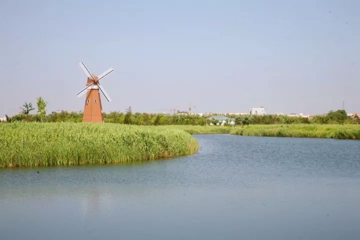 桑沟湾湿地公园