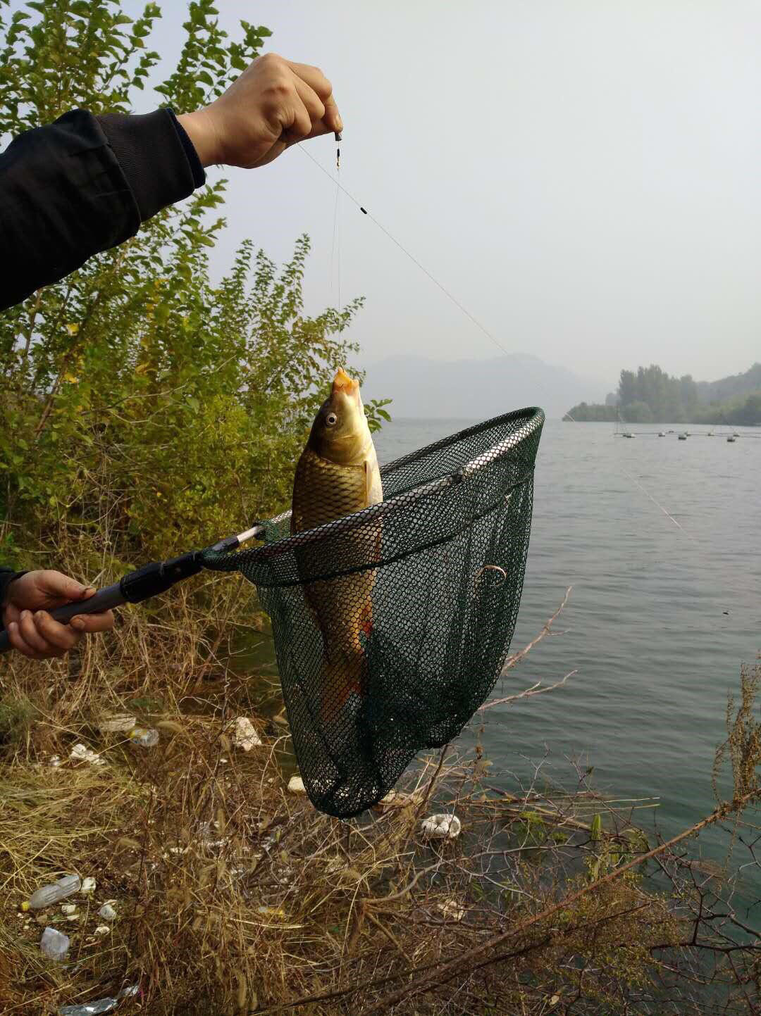 钓友黄河小浪底水库"鹰嘴山"边鱼获丰富,分享小技巧