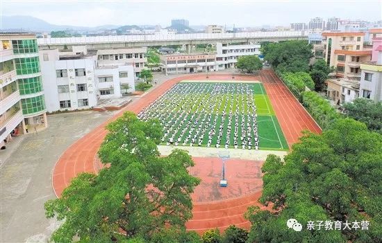 小学人口_小学人口普查手抄报