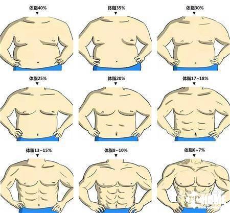 斐讯s7智能体脂秤评测 Ta知道你胖在哪里