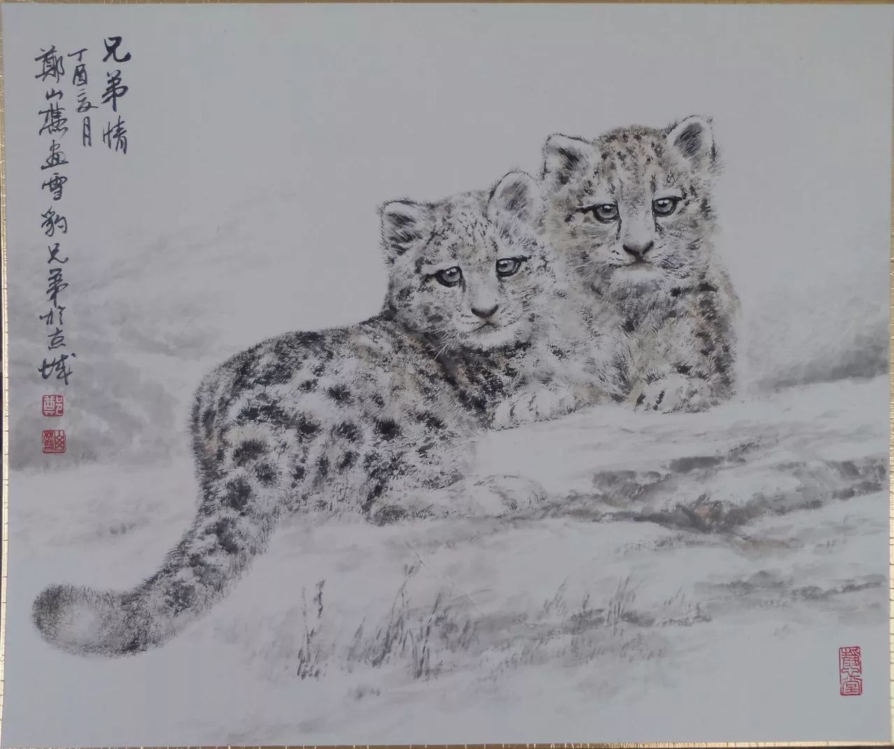 随雪山科考队采风,为保护雪豹作画,著名画家郑山麓谈