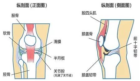 膝盖类风湿可伴随其他关节异常症状