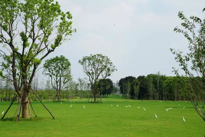 嘉北郊野公园