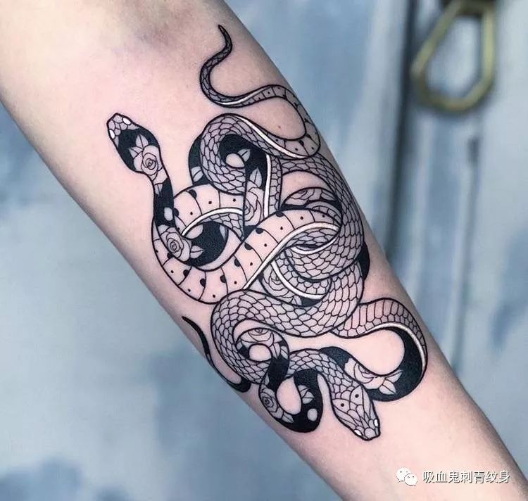 tattoo snake蛇蝎心肠 | 来日方长是有的,只是不是跟