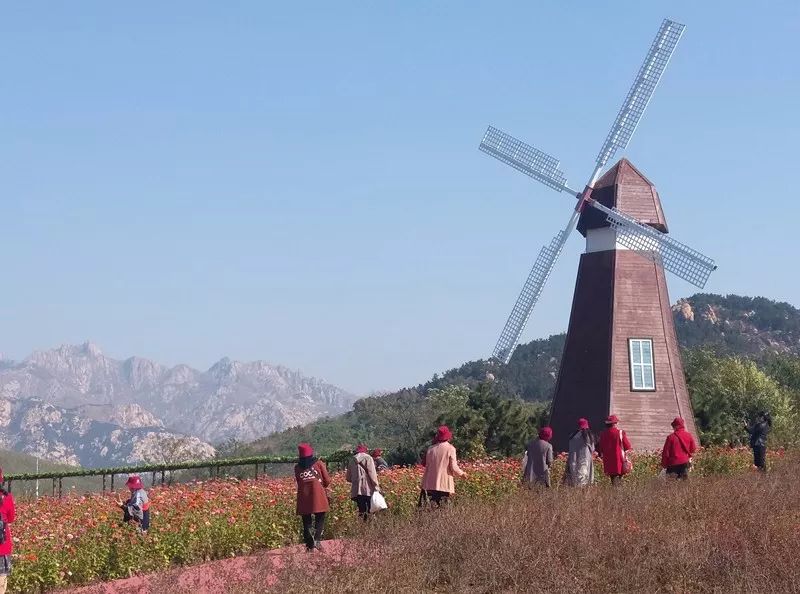 城阳旅游惠民月:免费旅游团队畅游西海岸