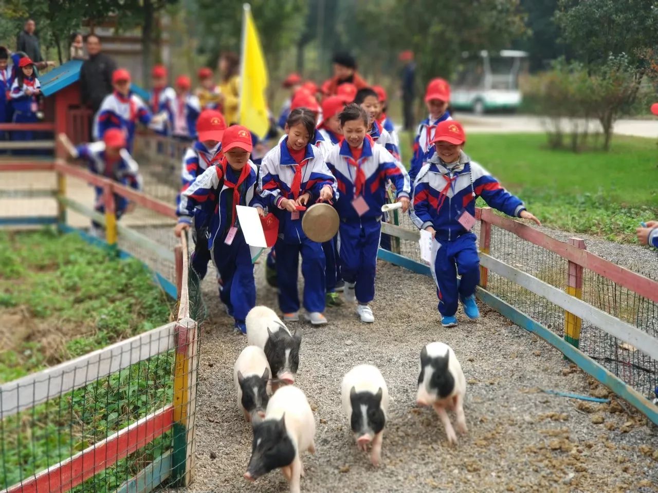 【学子归来】洋梓小学金色农谷,太子山,爱飞客,漳河研学之旅,原来晕车