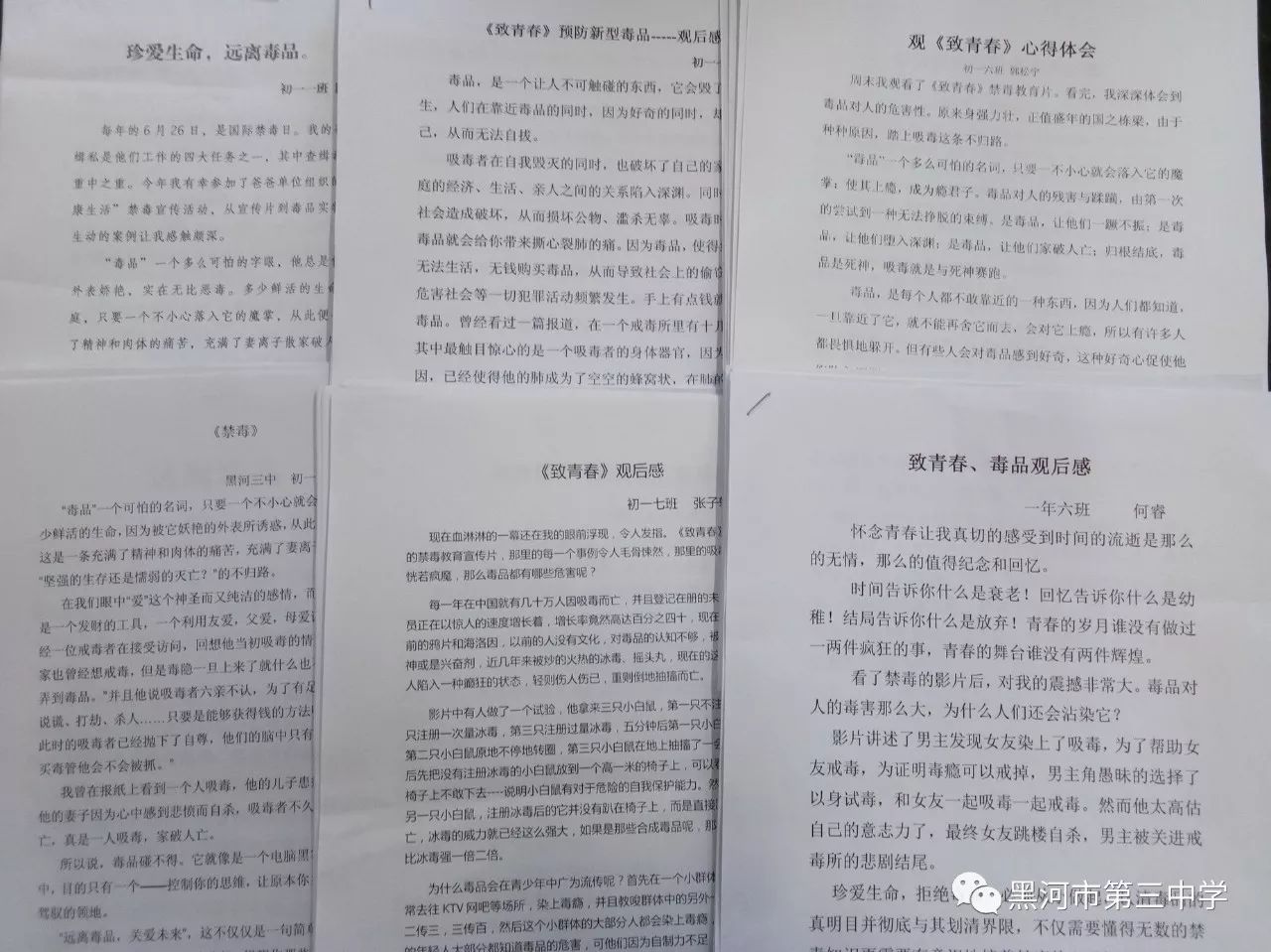 发放禁毒宣传手册学生阅读禁毒图书通过参与一系列《珍爱生命远离毒品