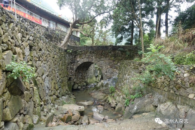 吴坑村丨淹在泽雅竹海中