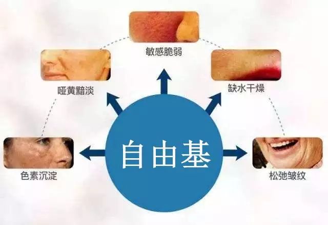 让皮肤生锈的罪魁祸首自由基