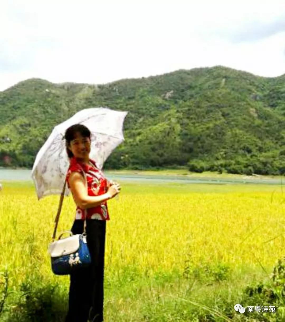 人生行吟 | 郑国雄:在秋收的田野上(外一首)