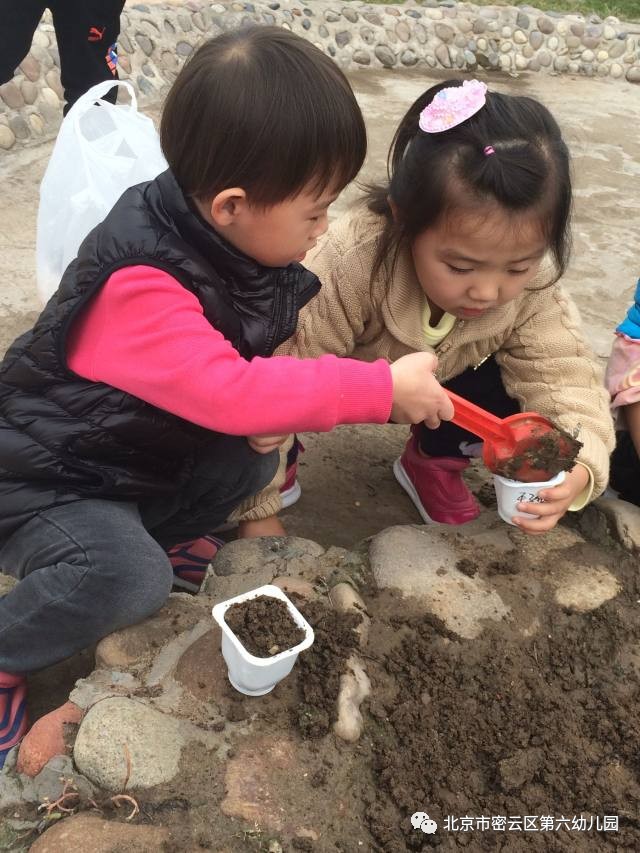 俊宁的力气大,主动把自己挖的泥土分给思默小朋友.