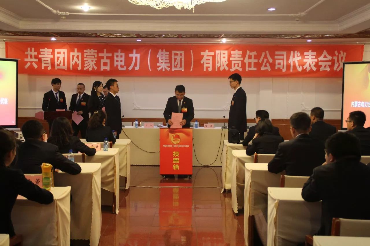 内蒙古电力公司参加第十四次团代会