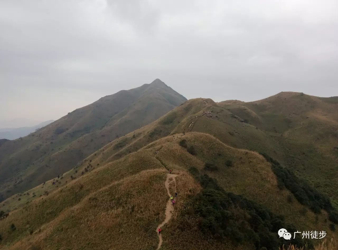 【活动】11月19日 惠州大南山--穿越珠三角最美高山草原-小武功山