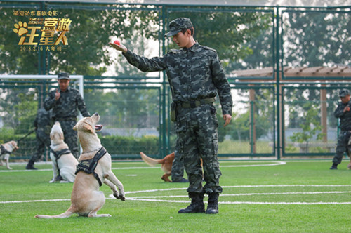 《营救汪星人》成毅率"神犬奇兵"出征春节档_搜狐娱乐